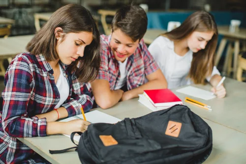 chicos-bachillerato-preparacion-EVAU-clases-particulares-grupos-reducidos